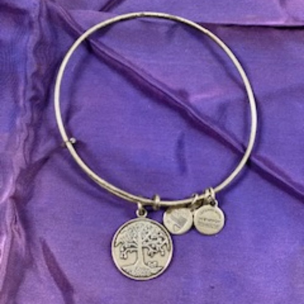 Alex and Ani Tree of Life Bracelet